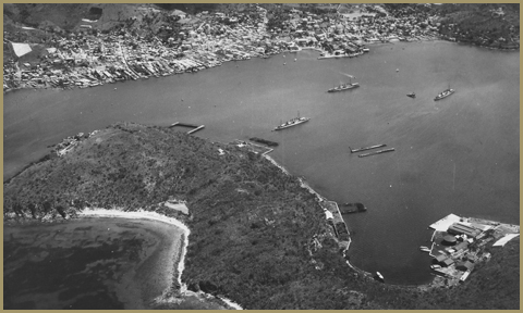 Aerial view of the activity in the harbor and Hassel Island's east coast
