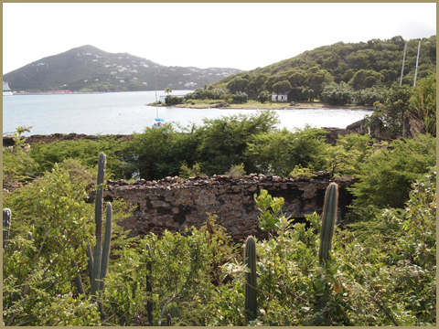 View of tropical vegetation, overlooking Careening Cove