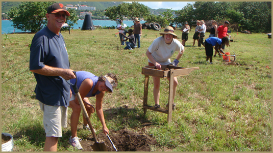 Volunteers planting native vegetation 